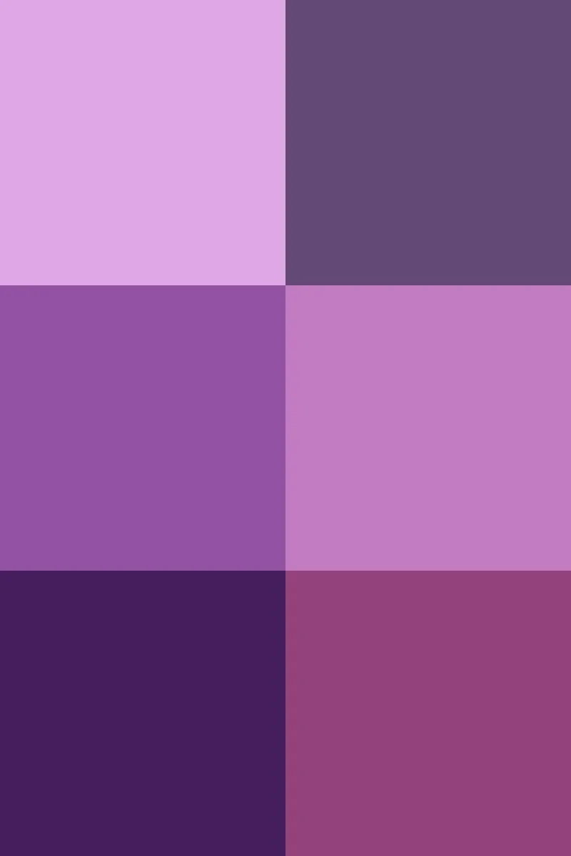 Color_icon_purple_v2.svg.jpg