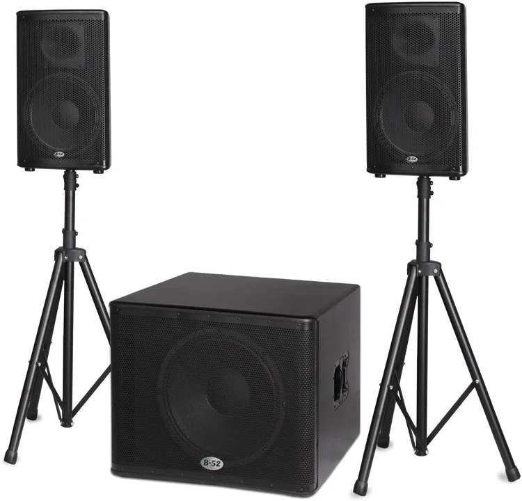 Portable Wireless Speaker Systems