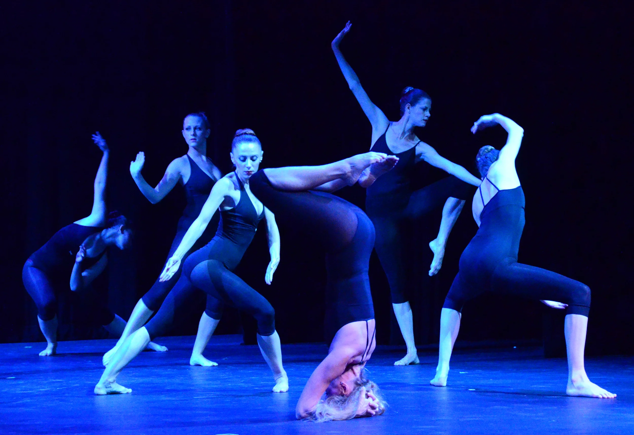 BRCA I/GENOME    2007