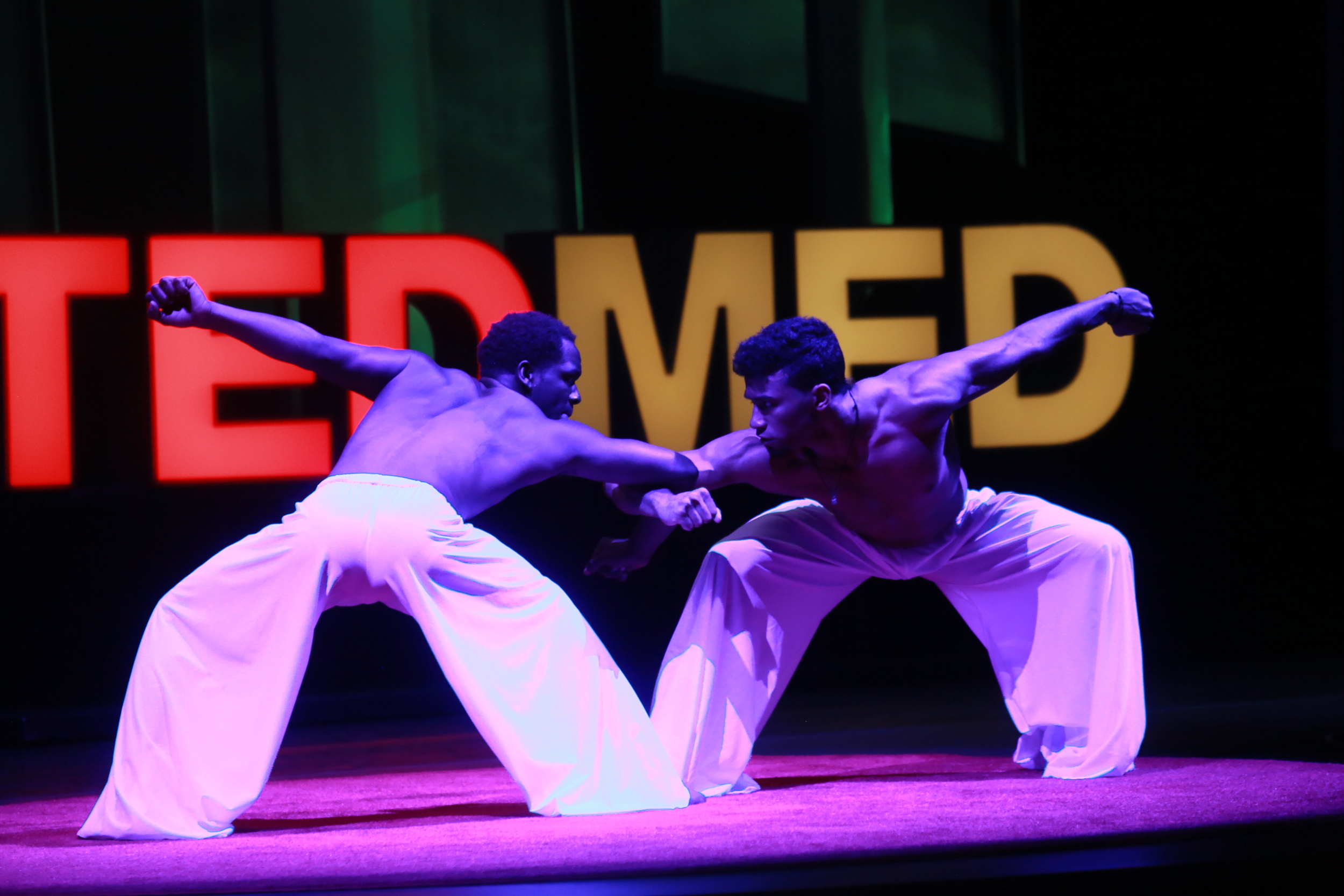  TEDMED 2014