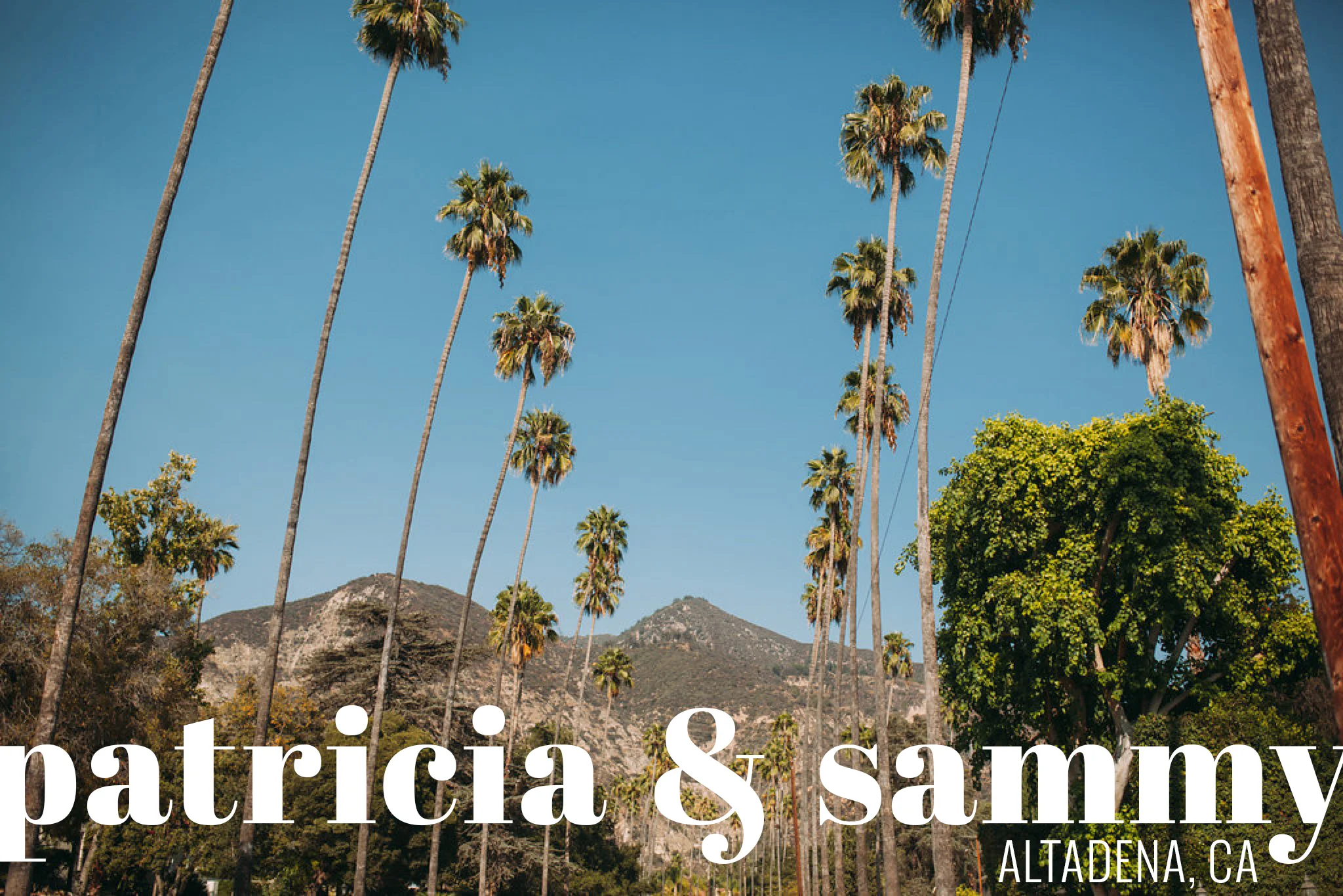 Feminist Wedding Photography Carly Romeo Photography Richmond VA Destination Altadena California Palm Trees