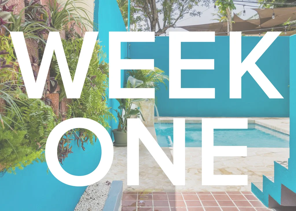 FPV March 2020 Week One - PUERTO RICO - DEPOSIT