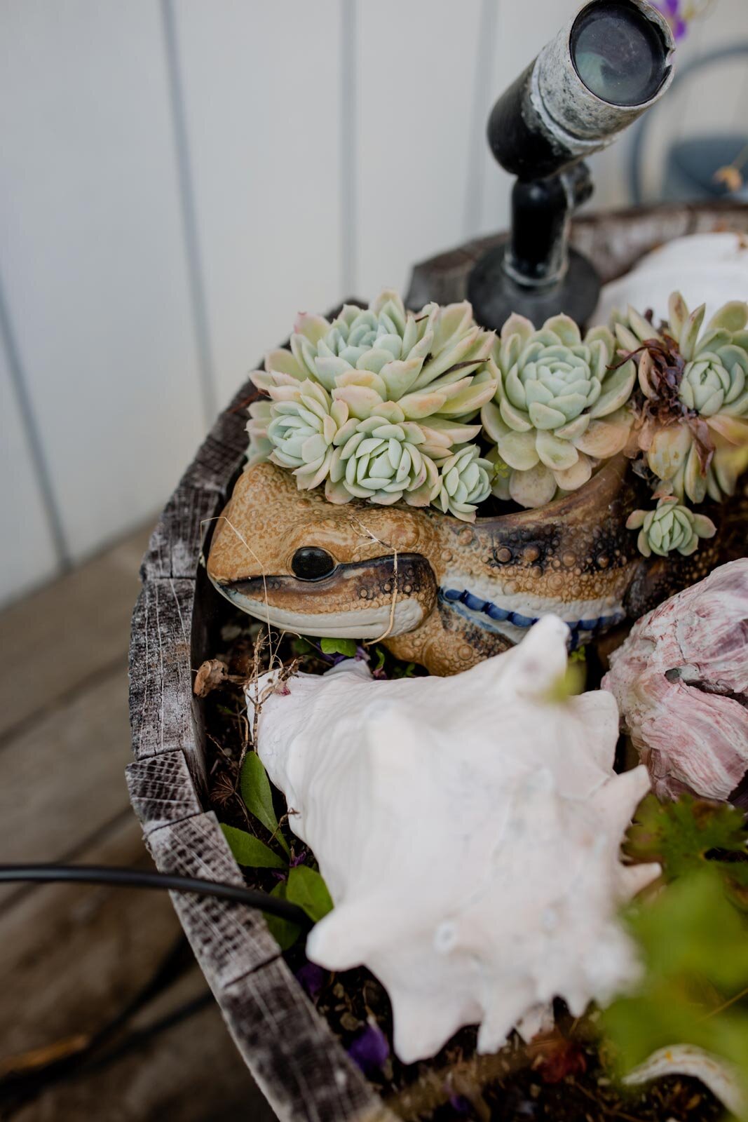 Planter with seashells and succulents in faux frog pot in Mendocino CA Carly Romeo wedding photography