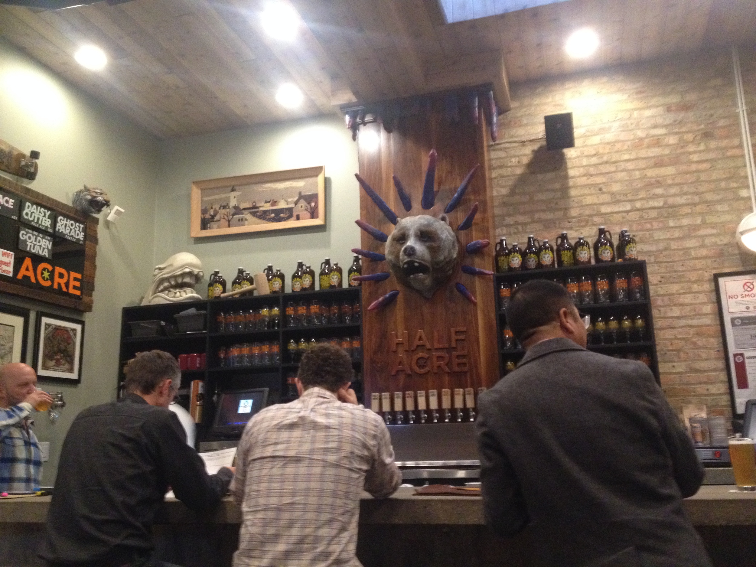 The Bear behind the bar at Half Acre.