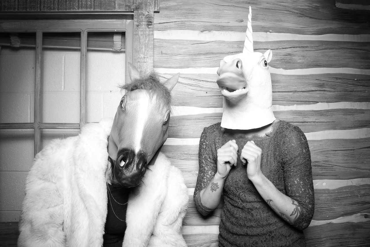 Horse costumes!