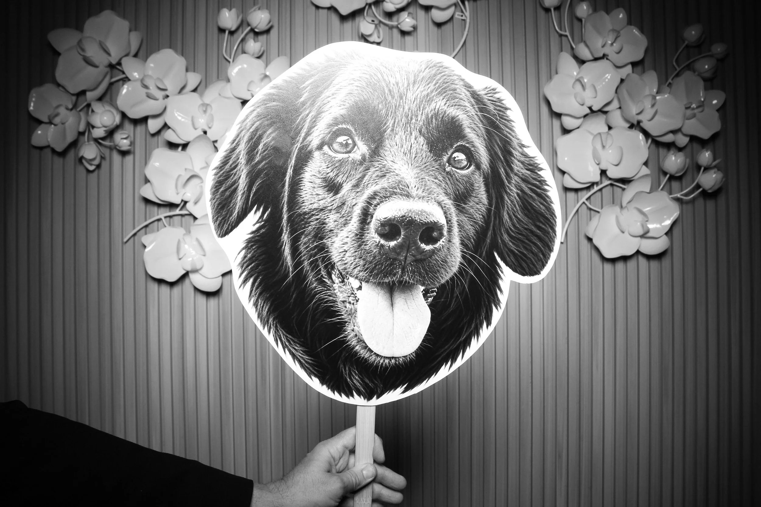 fotio-photobooth-bw-vintage-wedding-monte-bello-6.jpg