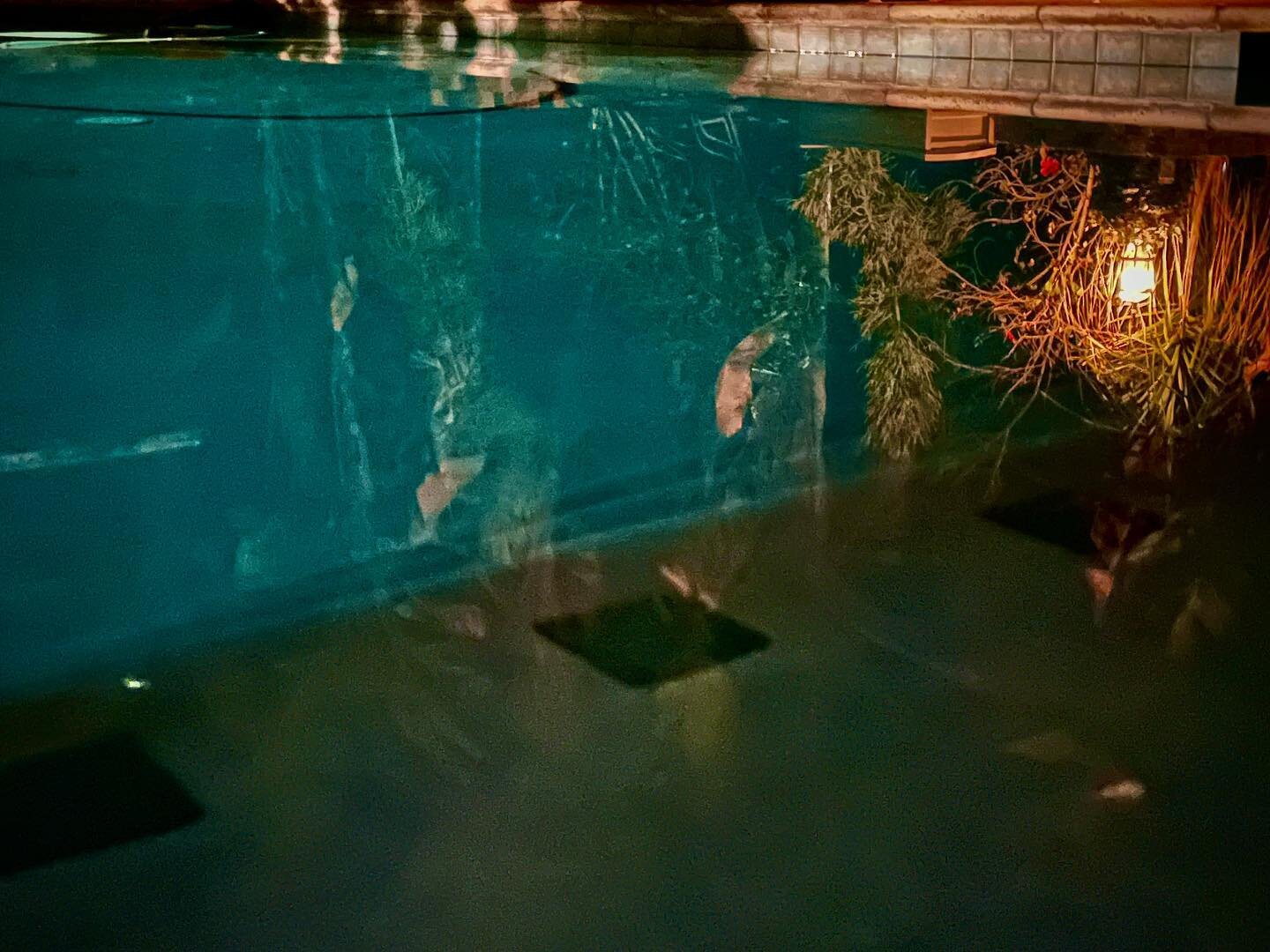 #nightpool