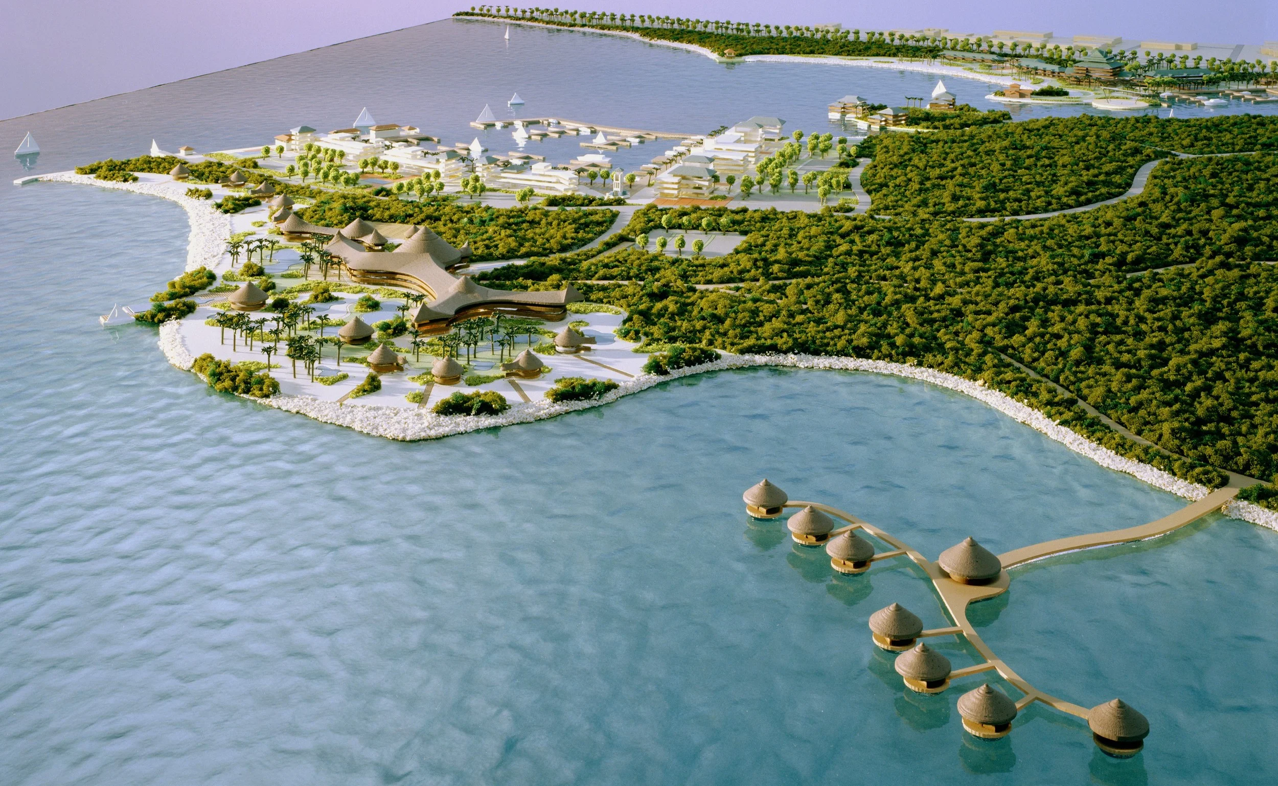Eastern Mangroves