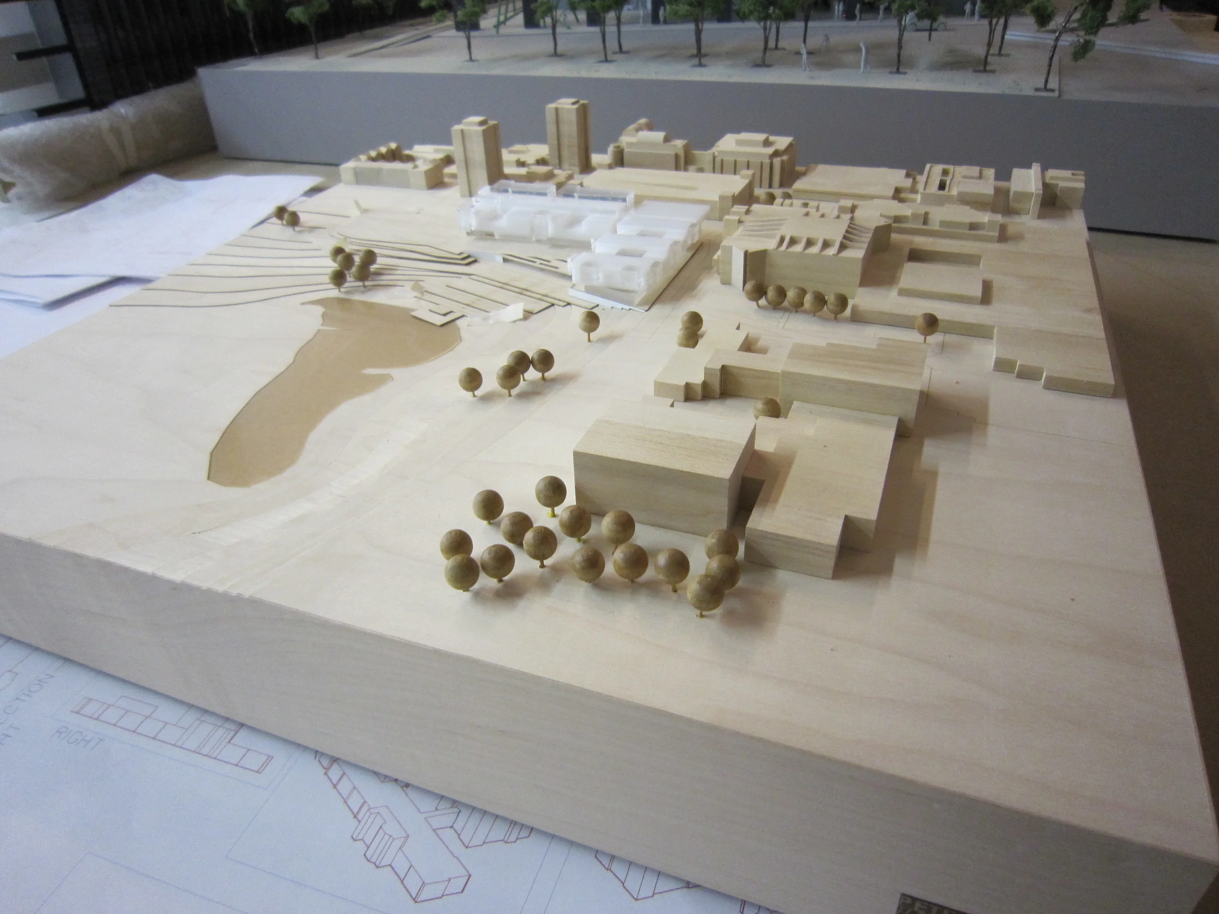 LSE York 01.jpg