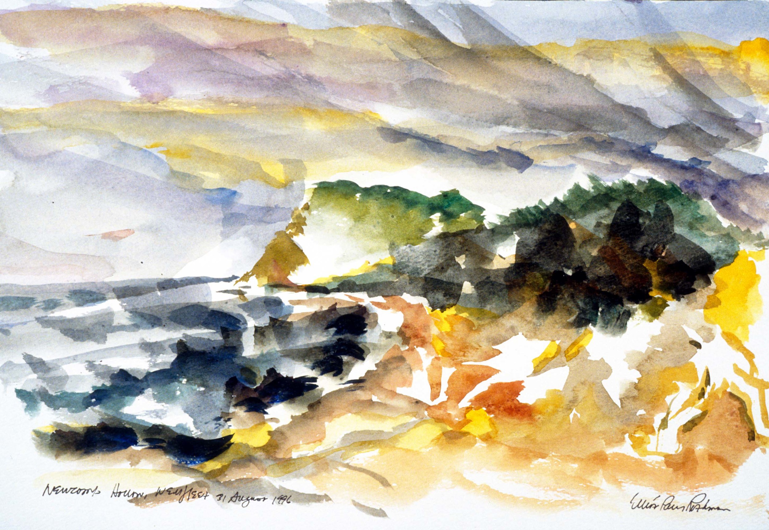 Newcomb Hollow Landscape