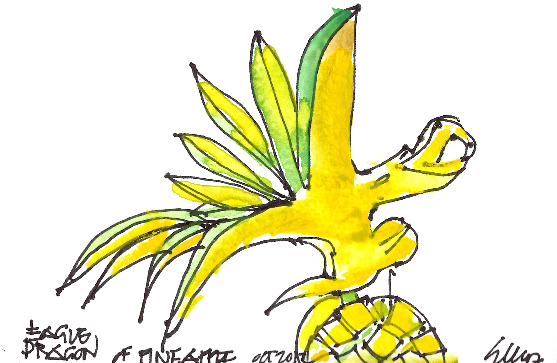  eagle dragon of pineapple 10.13 