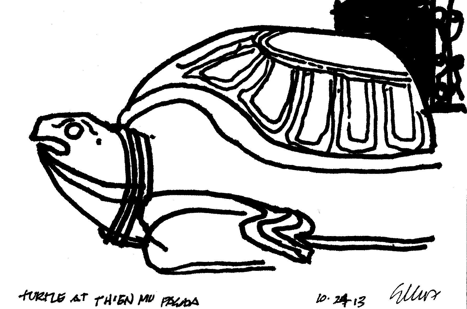 turtle at thein mu pawda 10.24.13