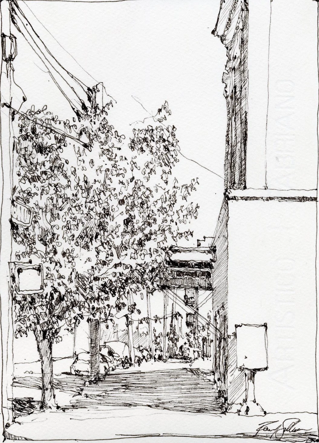 NuLu-1.jpg
