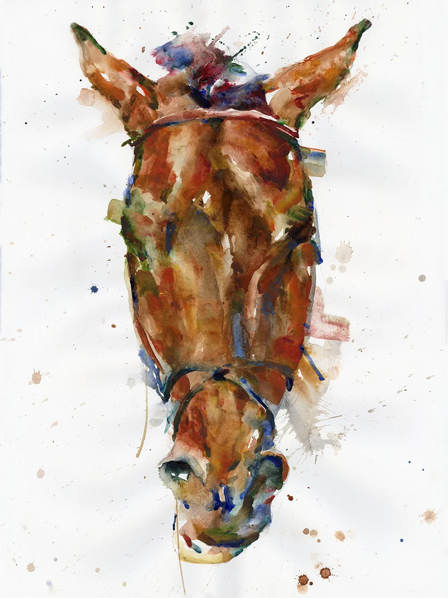 22x30horse-1-web.jpg