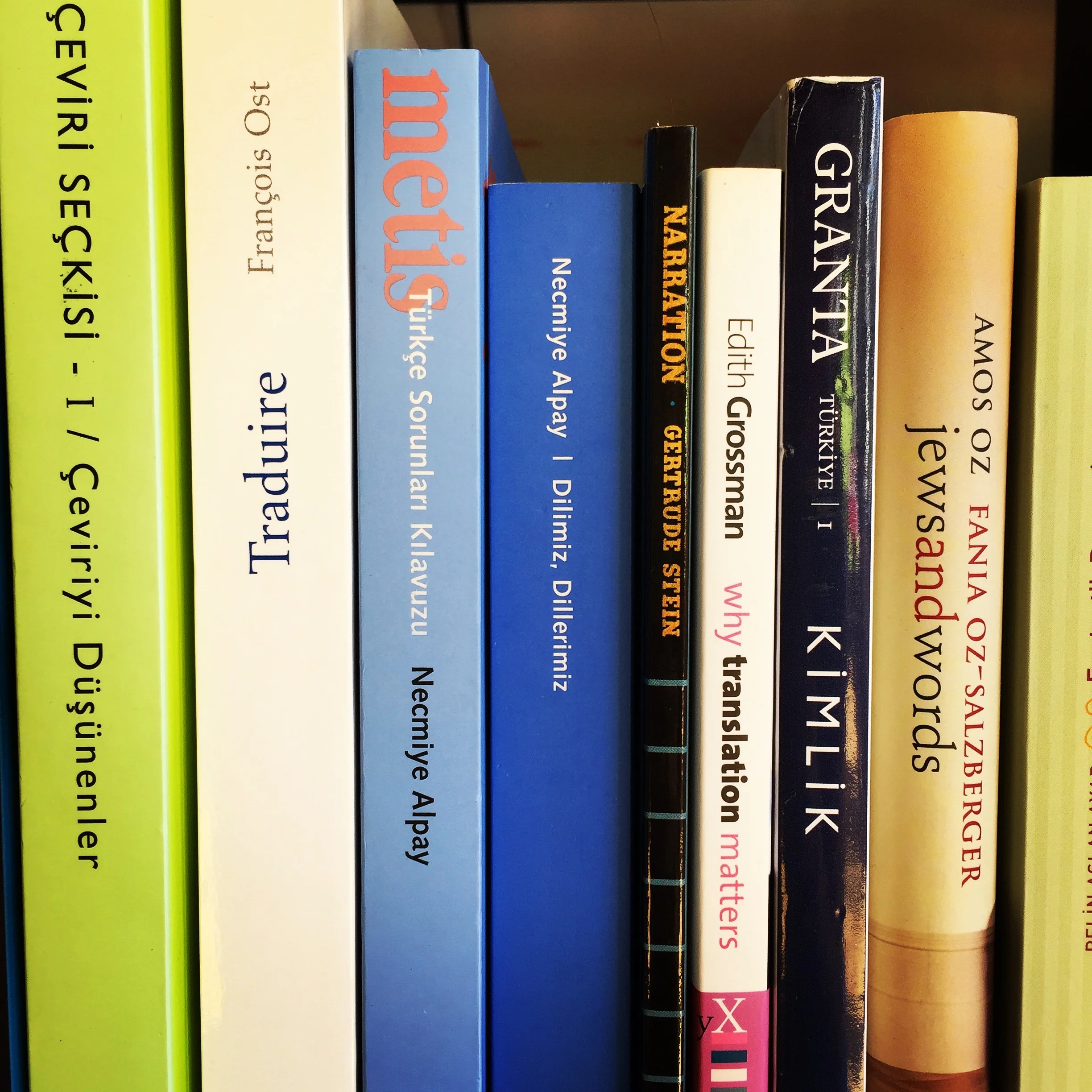 Dans ma bibliothèque, Necmiye Alpay, toujours emprisonnée ... 