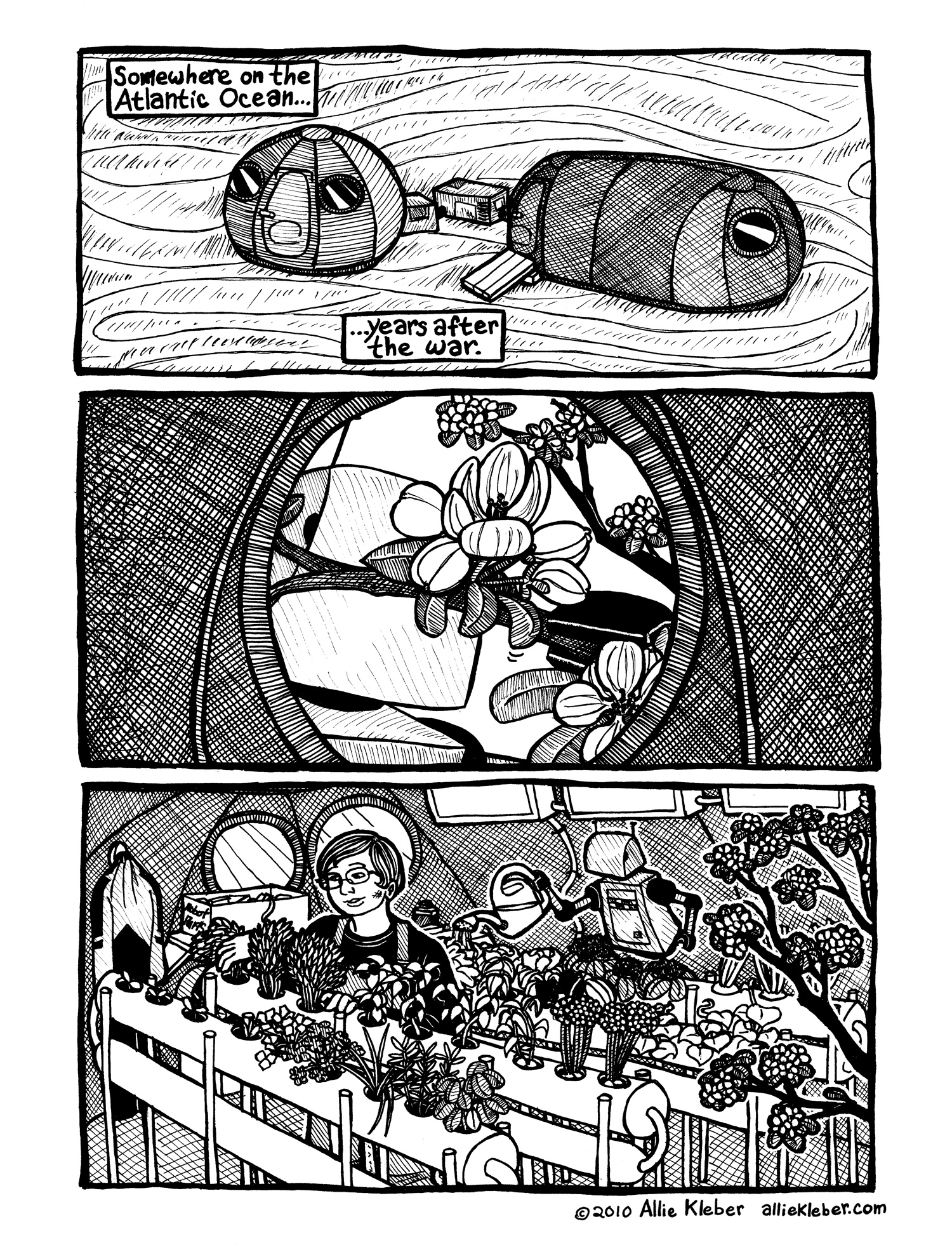 ccs1.jpg