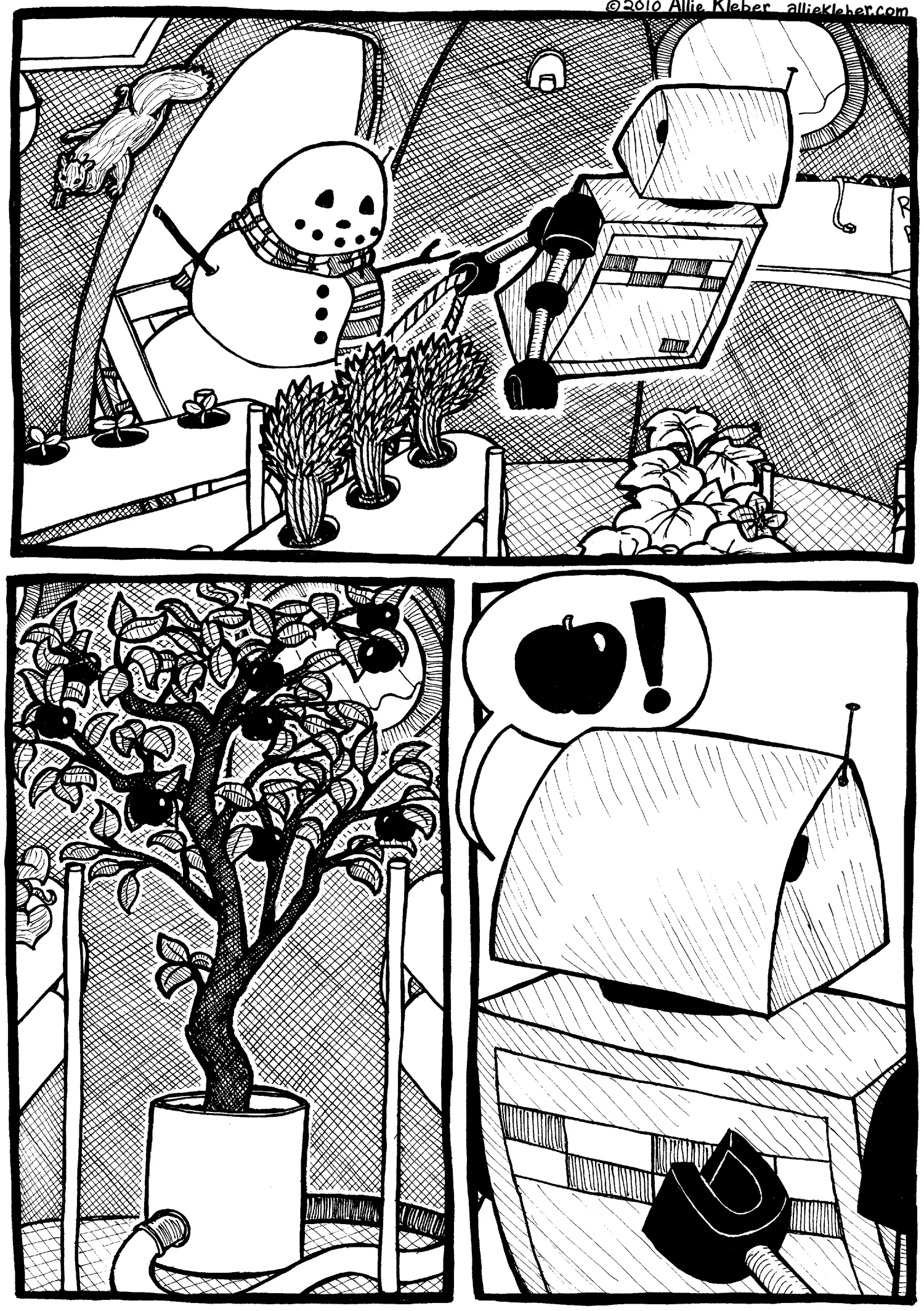 ccs7.jpg