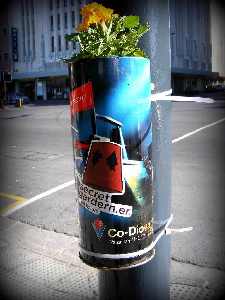 Evidence of a recent hanging up guerrilla gardening session by the Secret Gardener in Johannasburg, South Africa.