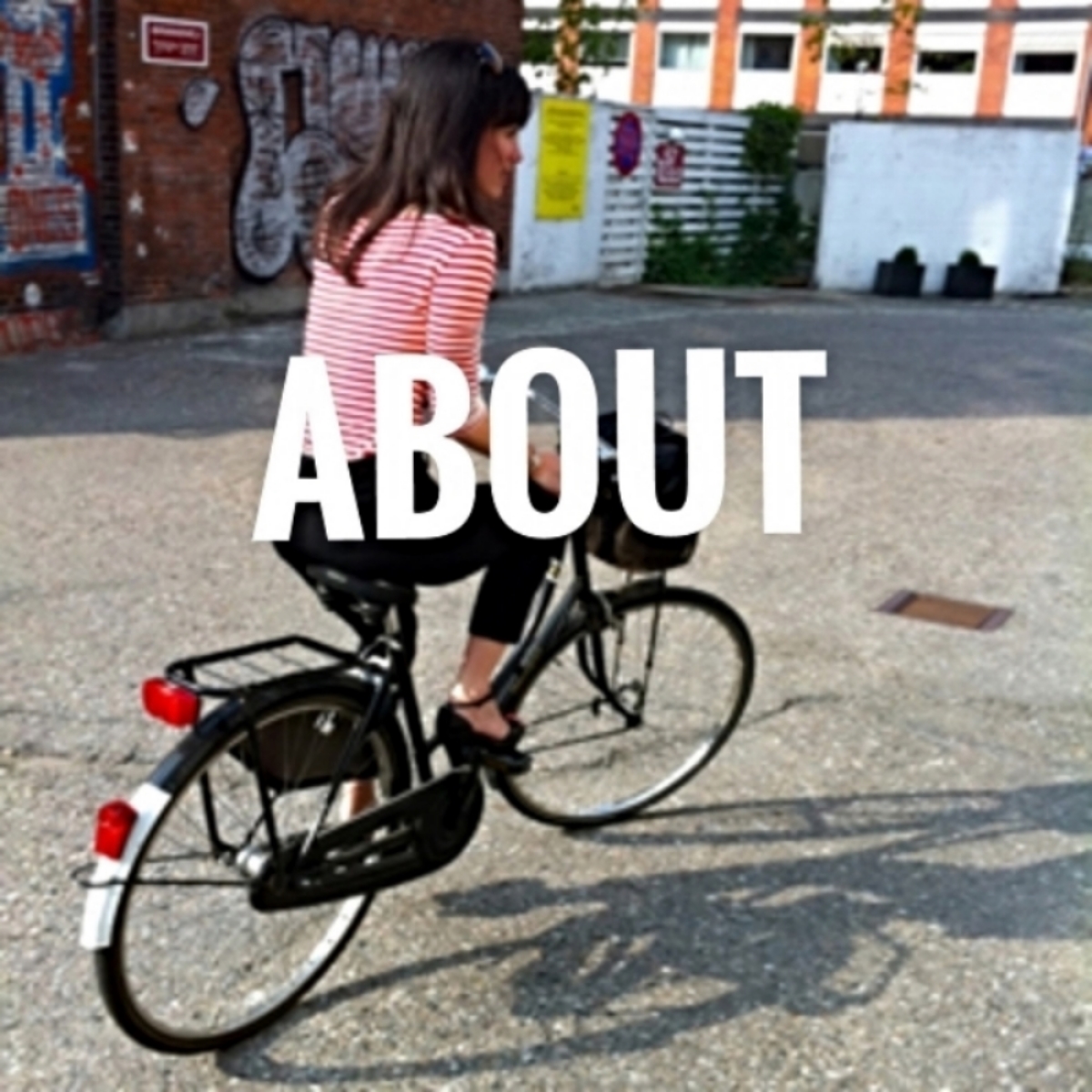 dk bike.jpg