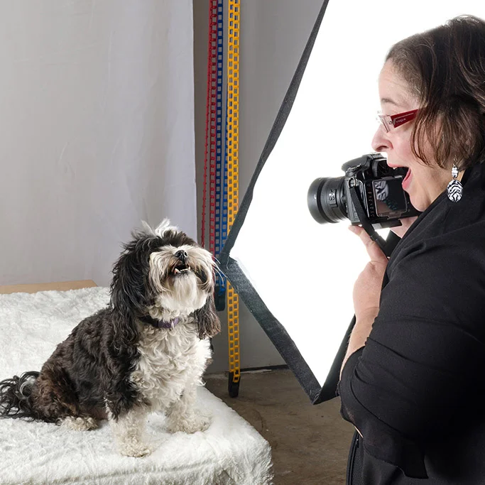 Susan Gertz - gertz-dogpatchpix_PPO.jpg