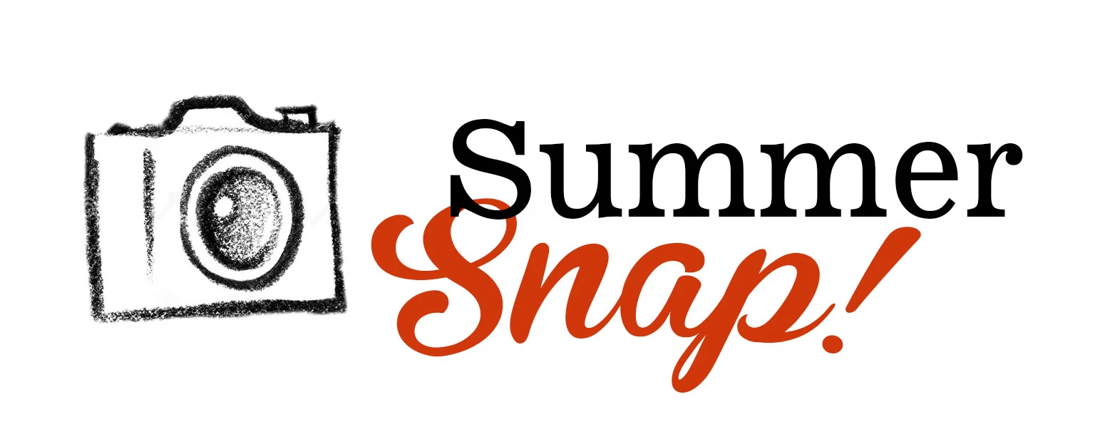 logo summersnapCROP.jpg