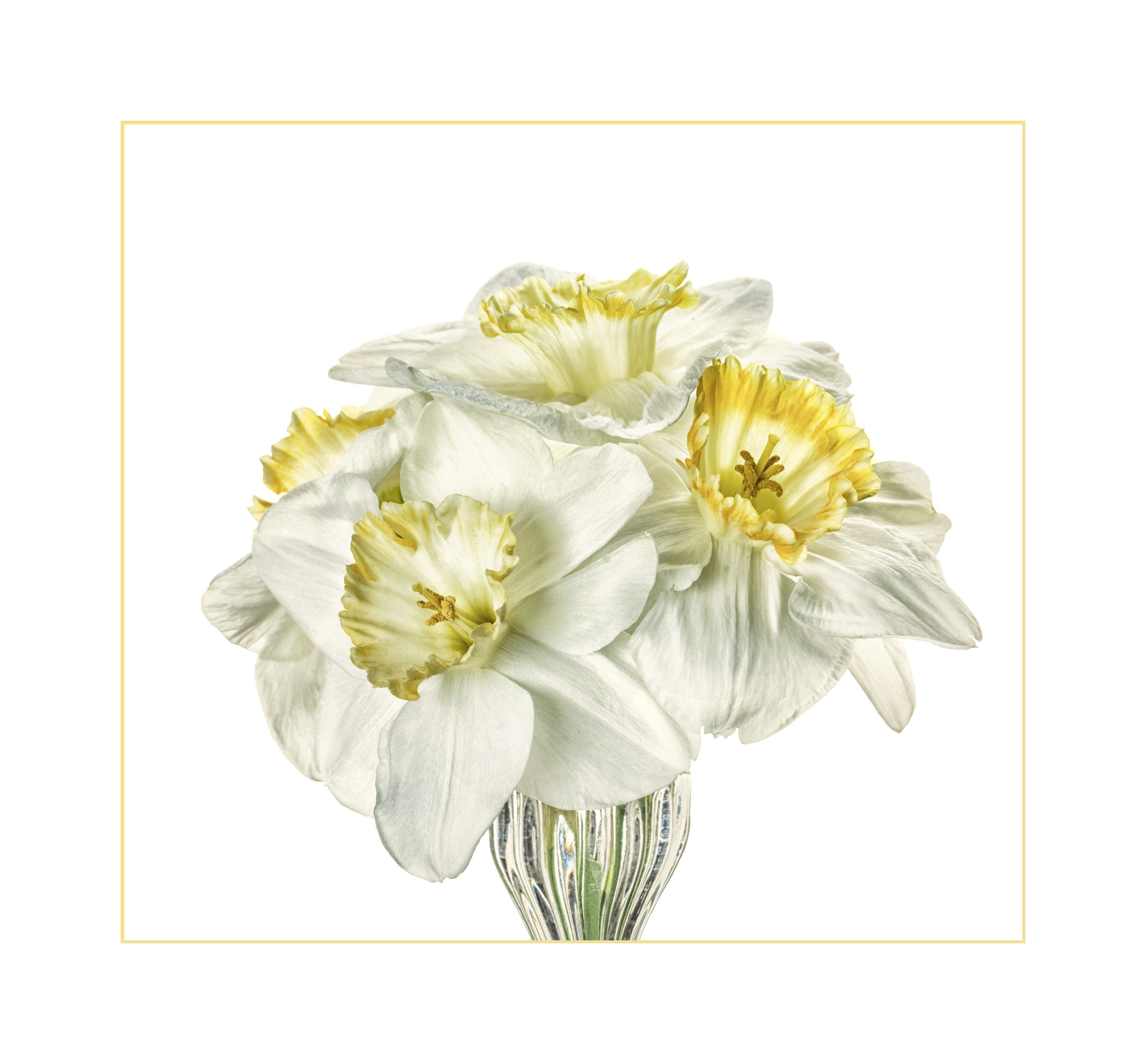 BartterD 81---- Daffodil Bouquet.jpg