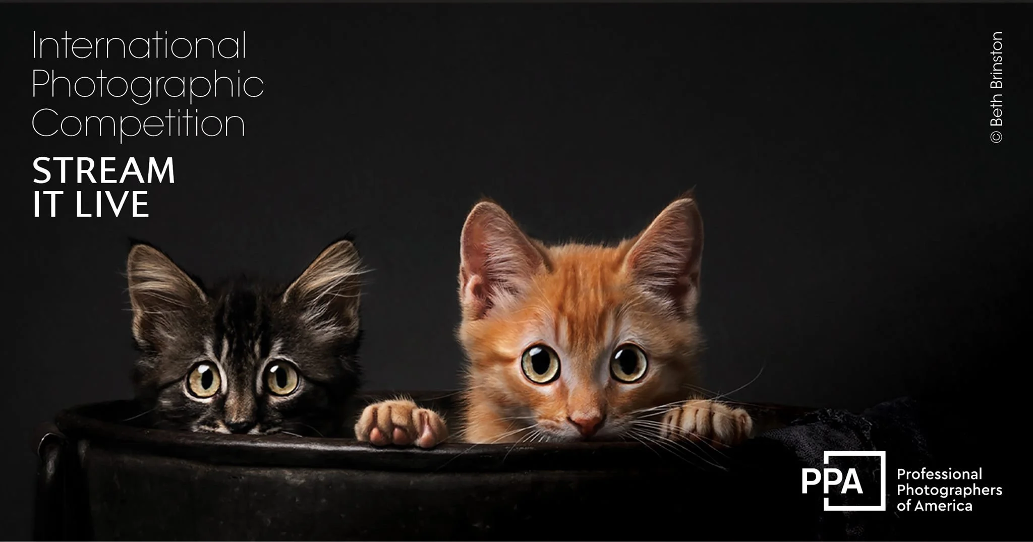 PPA International Photographic Competition (IPC) Judging (virtual)