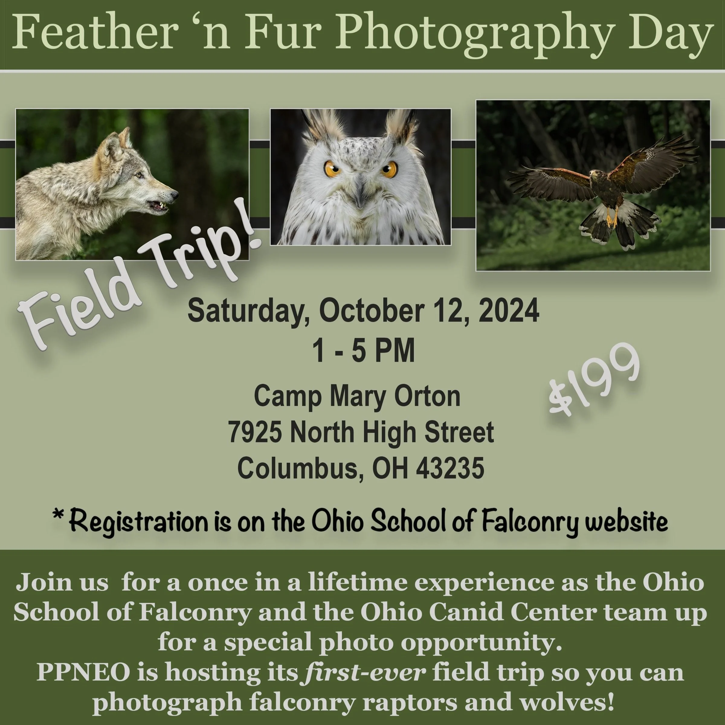 Feather 'n Fur Photography Day