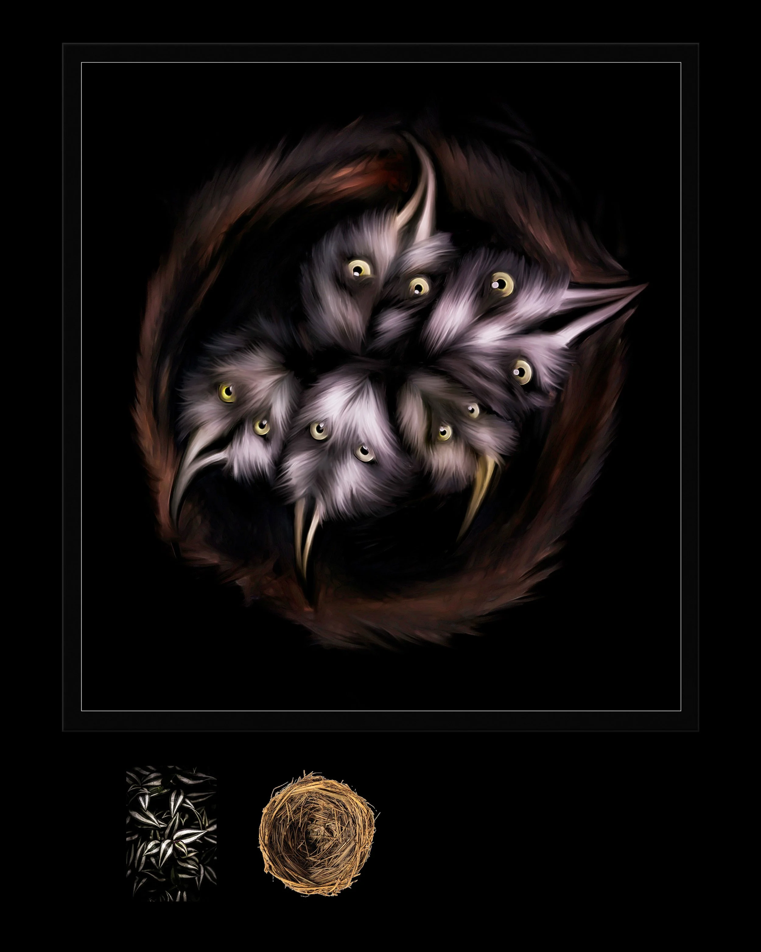 Marisa Balletti - Hungry Eyes Prints.jpg
