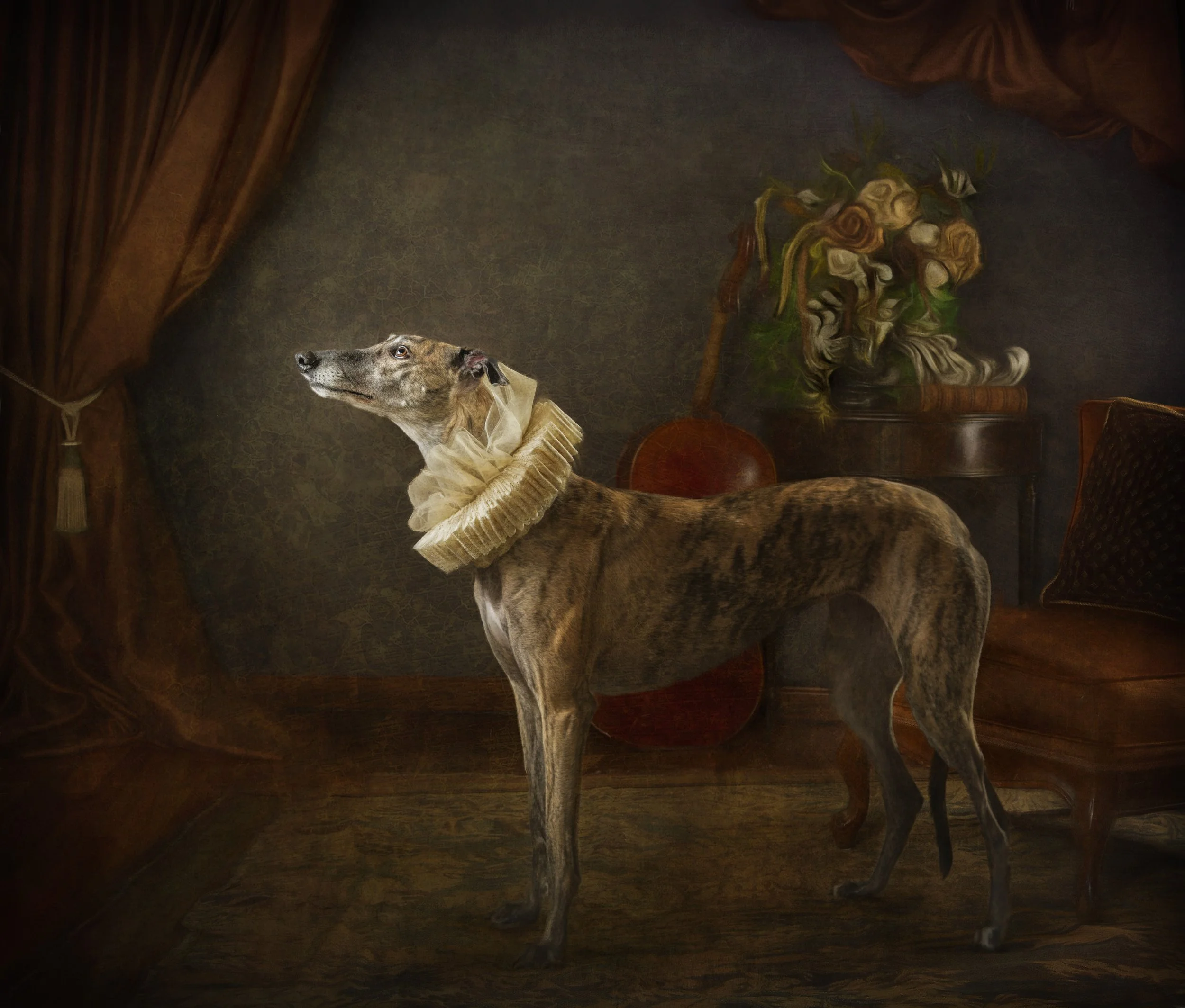 Photographing and Fundraising with Furry Family Members - Lisa Asp - PPA MERITED WORKSHOP 7/19/25