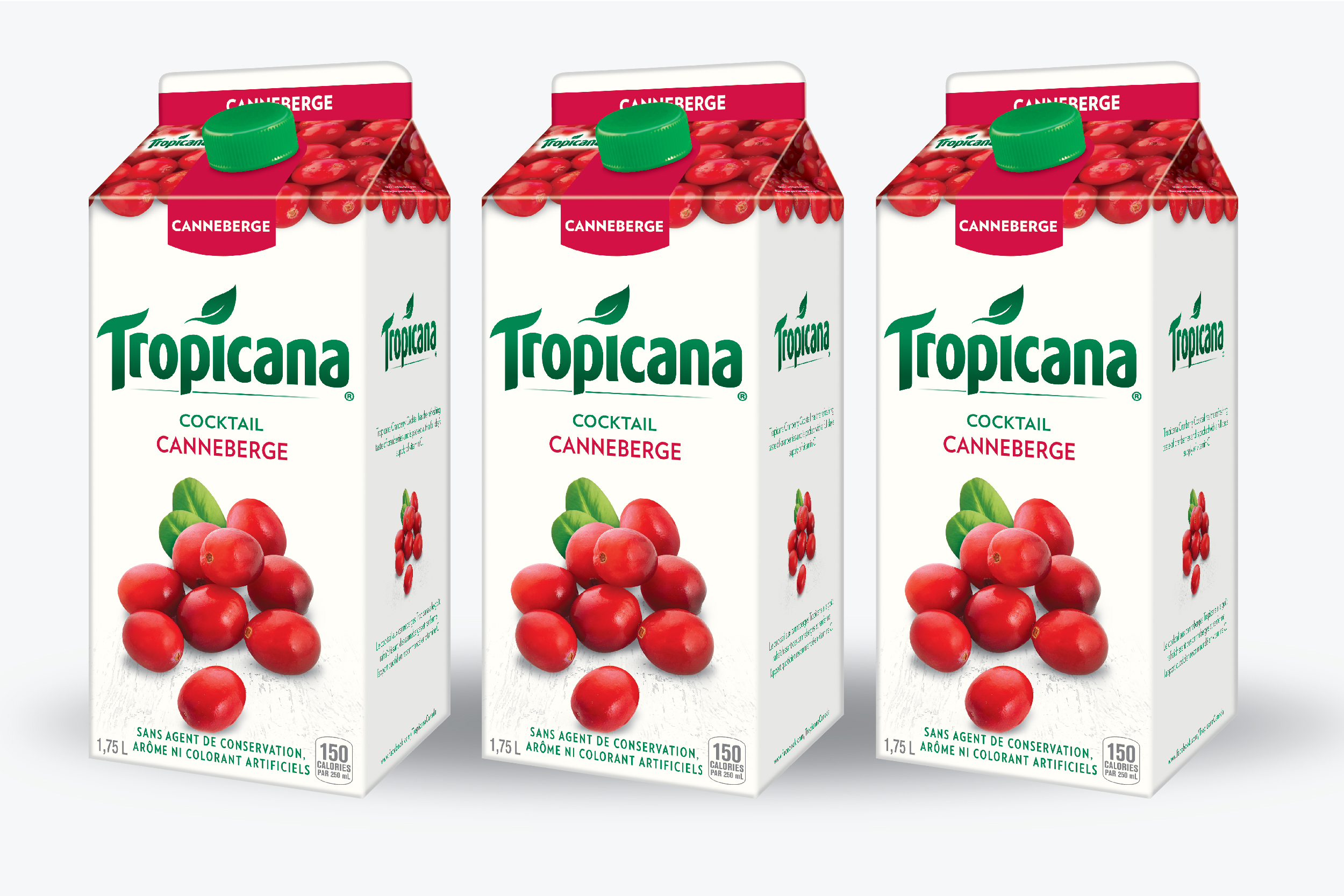 Tropicana layout-09.jpg