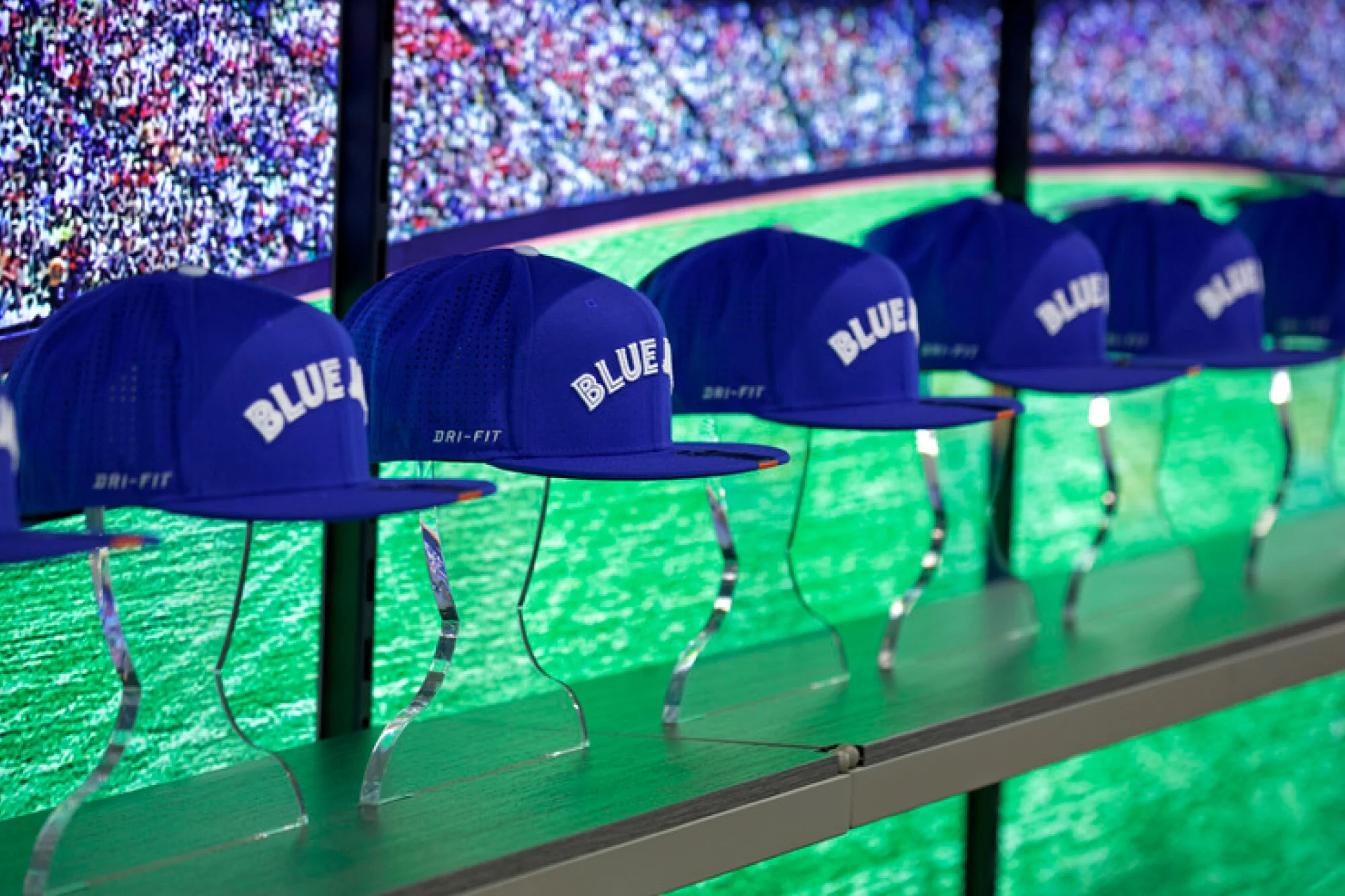 Toronto-Blue-Jays-12.jpg