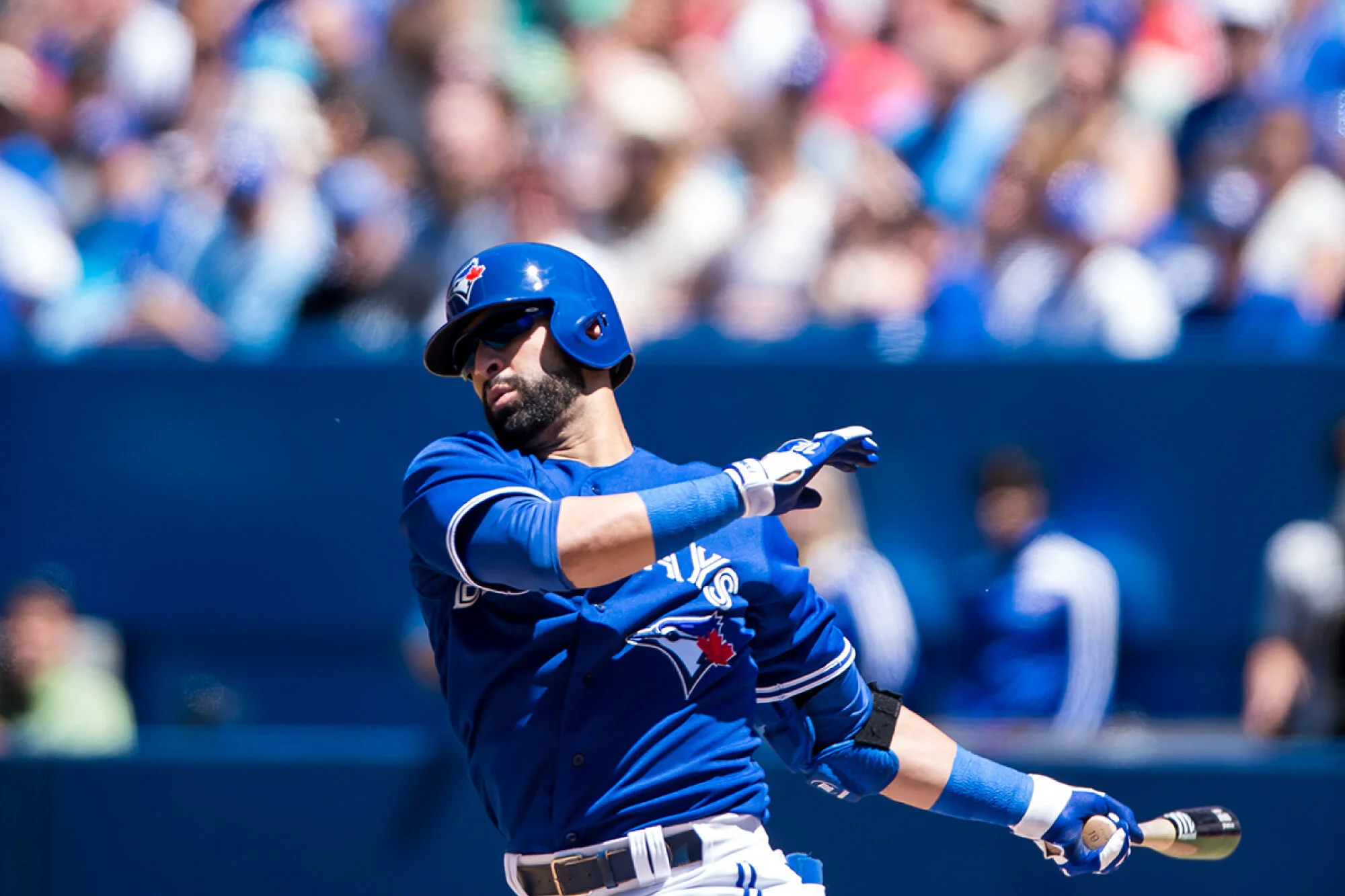 Toronto-Blue-Jays.jpg