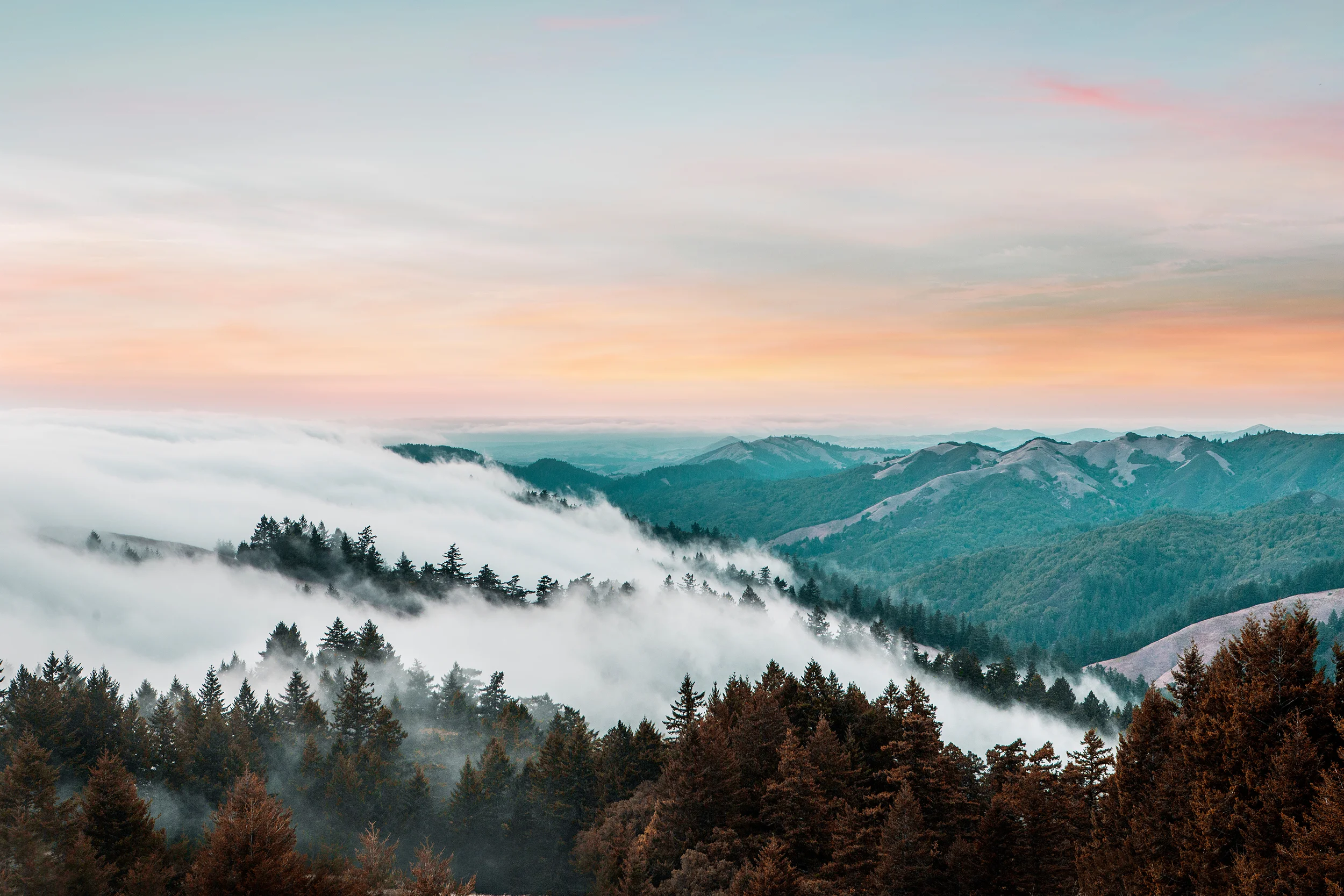 Mt_Tam_Fog_Full.jpg