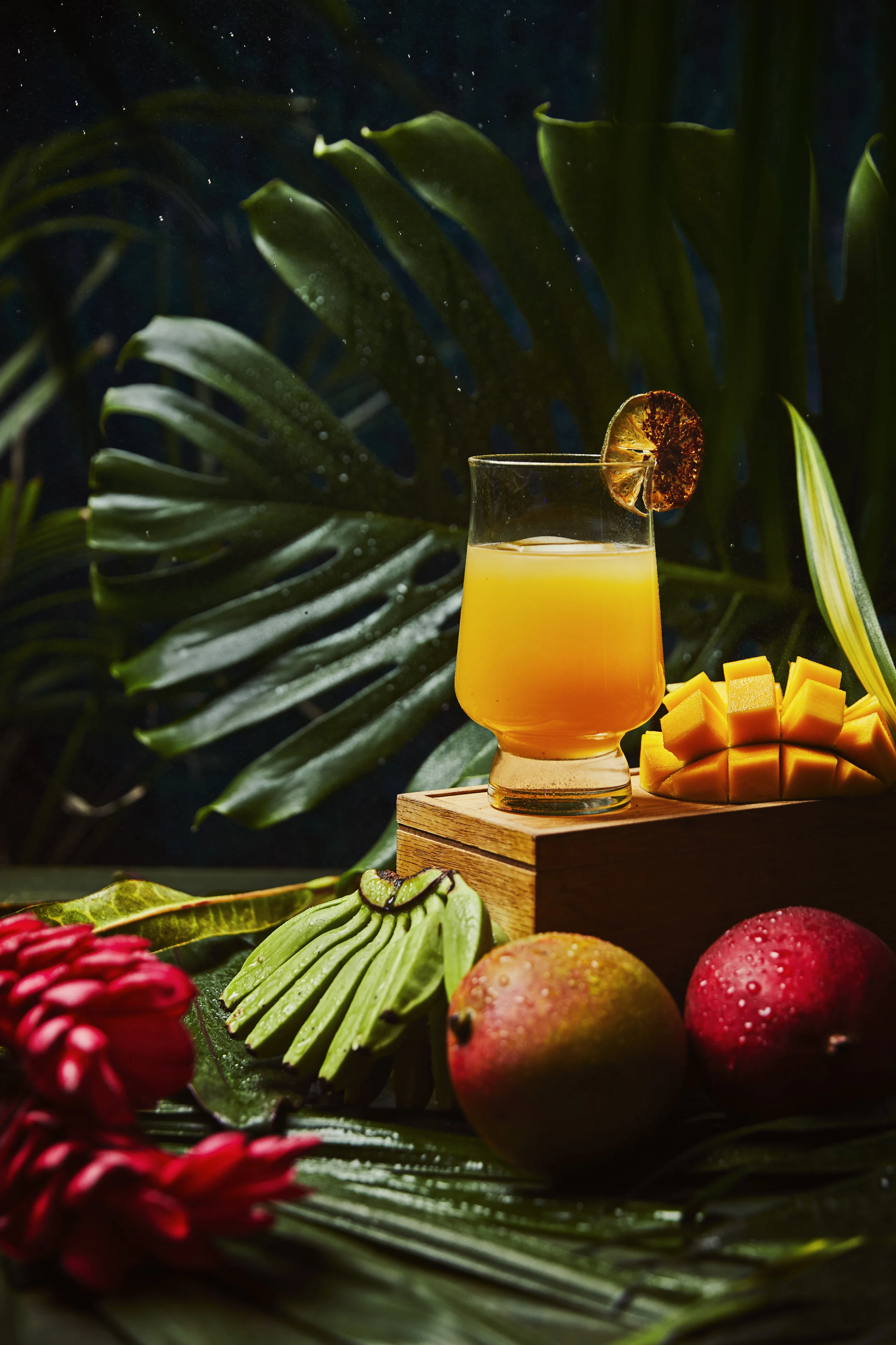 Spice + Spirit_In The Jungle.jpg