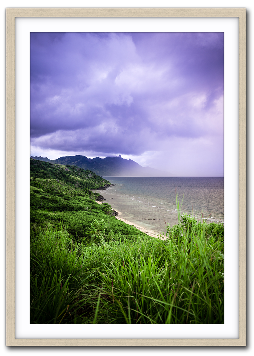 Brooding IMG_1661-Driftwood.png