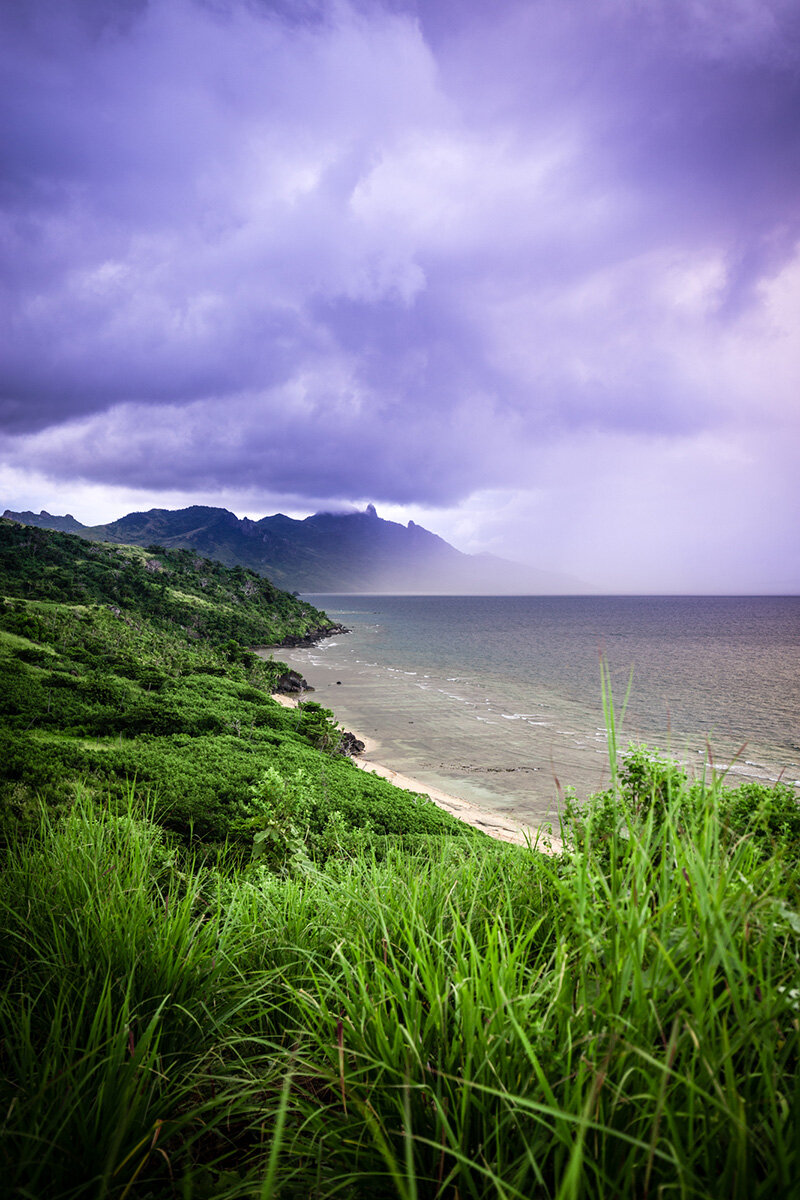 Brooding IMG_1661-Print.jpg