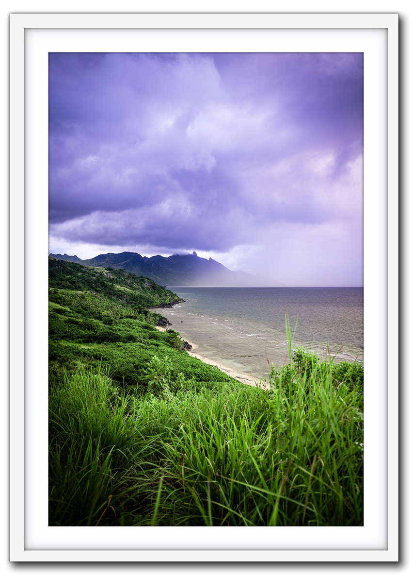 Brooding IMG_1661-white.png