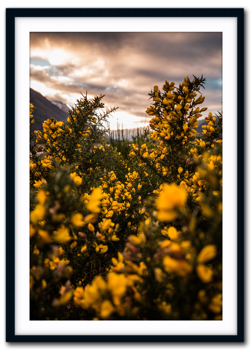 Natures Beauty IMG_1327-black.png