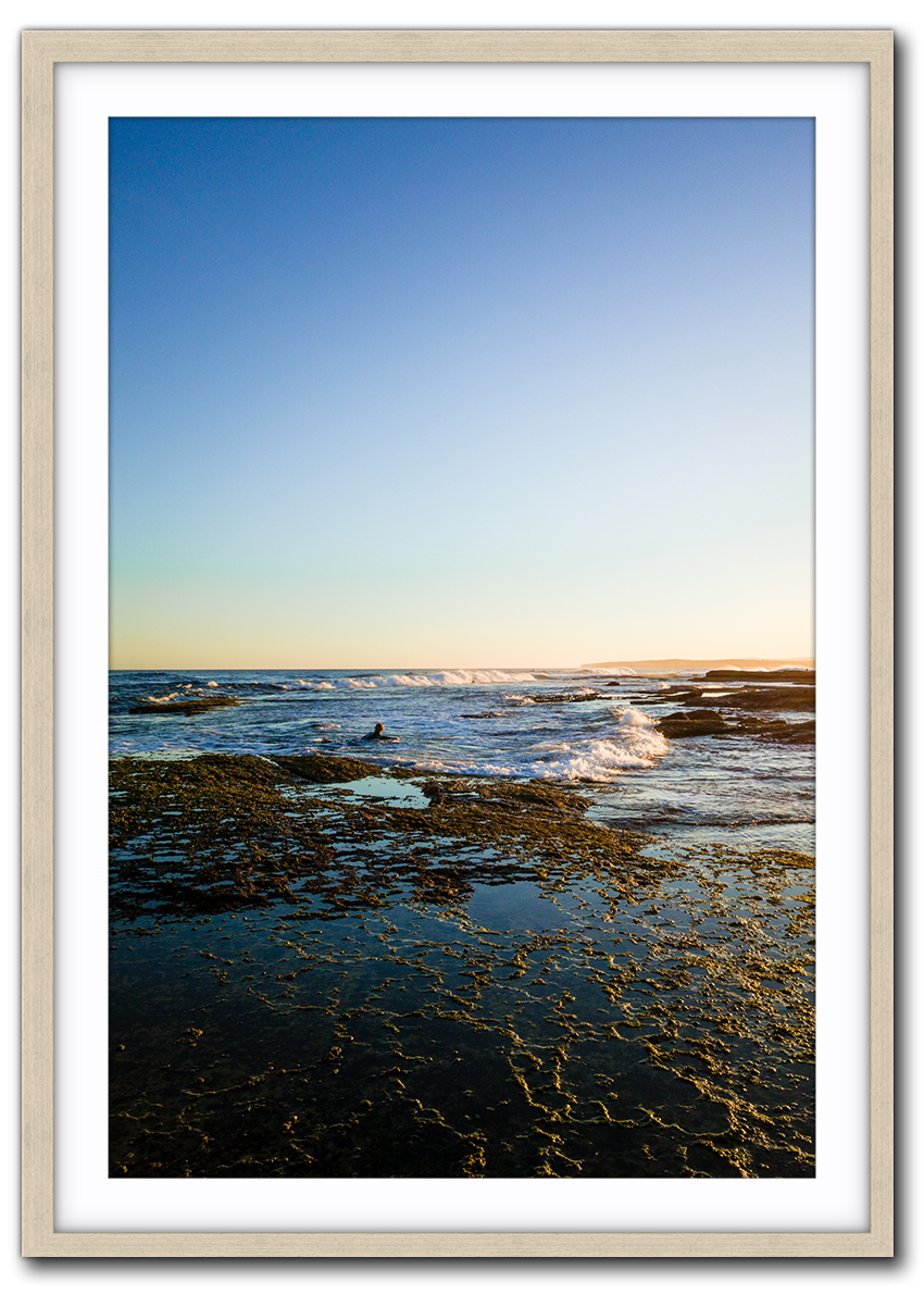 Rise and Surf - DJI_0066-2-Driftwood.png