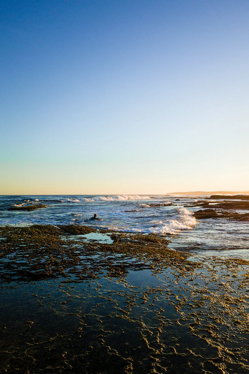 Rise and Surf - DJI_0066-2-Print.jpg
