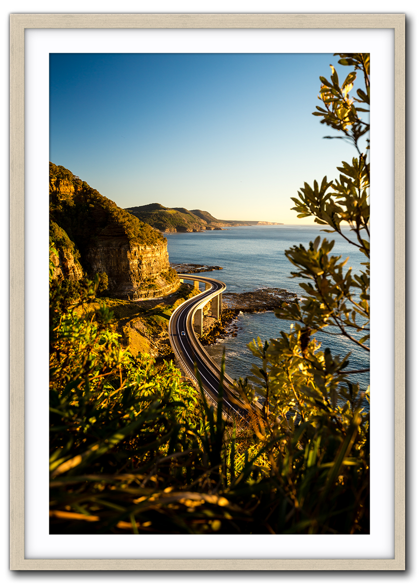 Sea Bridge IMG_1078-Driftwood.png