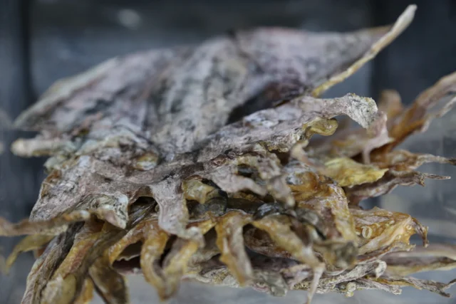 dried squid&nbsp;
