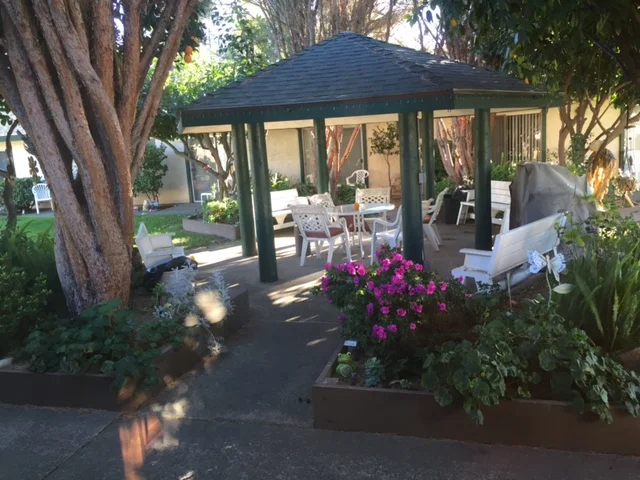 View of courtyard with patio door open.