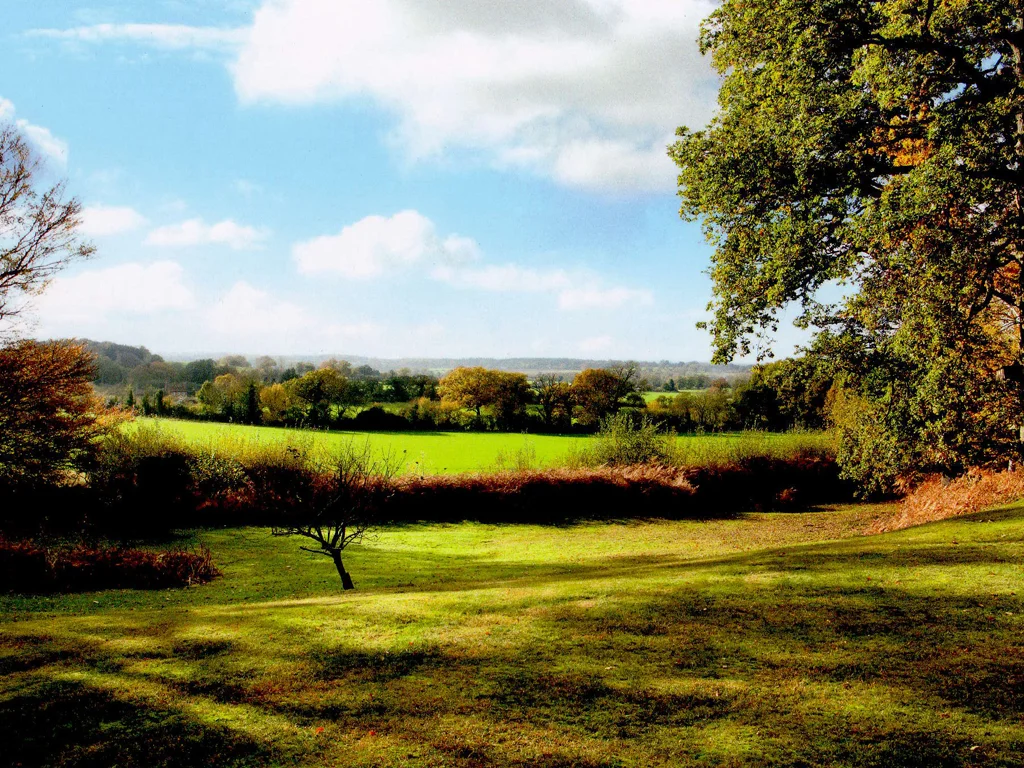 Drayton03.jpg