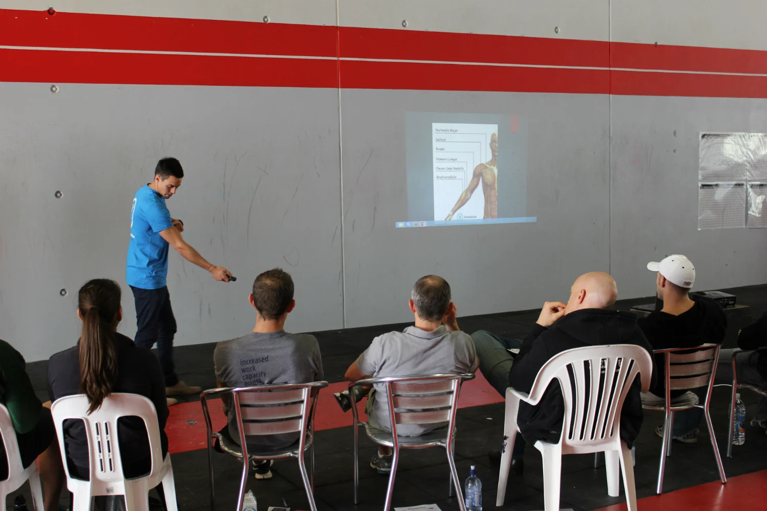 evolutio-workshops.jpg