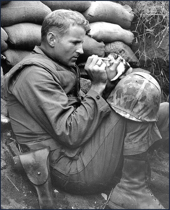 US Marine feeding a two-week-old kitten whose mother had been killed during a battle in Korea, circa 1953. The Marine named the kitten “Miss Hap.”