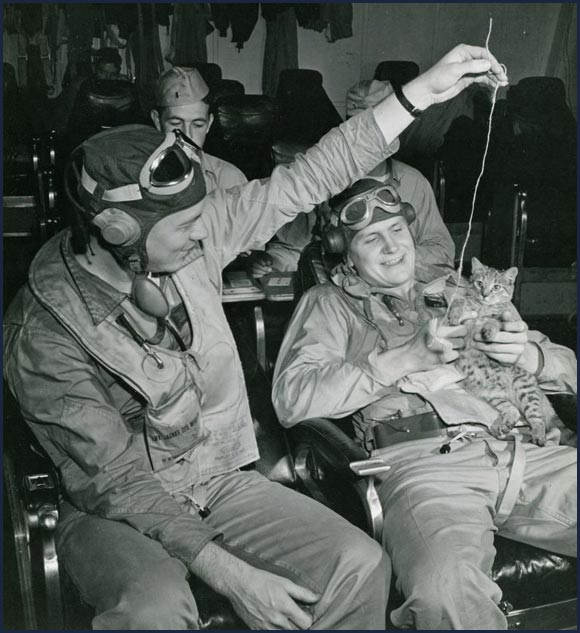 Two US Navy pilots playing with a cat while serving in the Pacific during World War II.