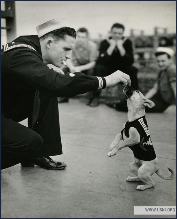 “Salty,” the mascot of a Coast Guard destroyer escort, circa 1943.