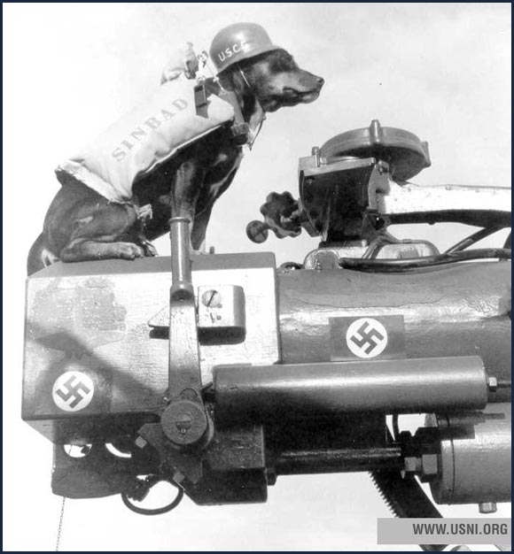 “Sinbad,” mascot on Coast Guard cutter Campbell , circa 1944.